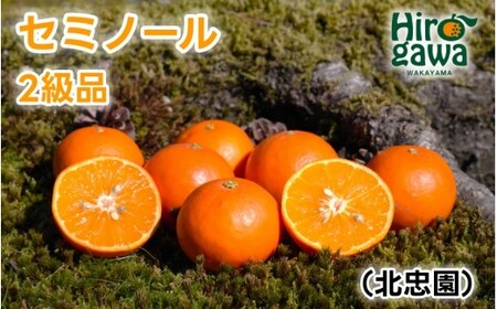 セミノール 5kg 2級品 / 和歌山 有田 広川 みかん ミカン 柑橘 果物 くだもの ギフト フルーツ 果実 ※2027年4月上旬〜4月下旬頃に順次発送予定[hkt016-c-5]