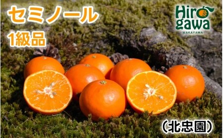 セミノール 5kg 1級品 / 和歌山 有田 広川 みかん ミカン 柑橘 果物 くだもの ギフト フルーツ 果実 ※2027年4月上旬〜4月下旬頃に順次発送予定[hkt016-p-5]