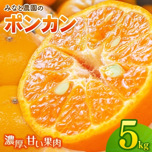 [先行予約]ポンカン みなと農園のポンカン 約5kg [mntf0011]