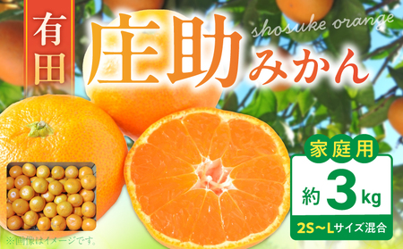 【2026年先行予約】庄助みかん (家庭用・サイズ混合) 約3kg_BK6018