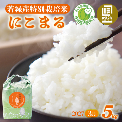 【令和8年産】  にこまる 5kg 【2027年3月配送】 |  にこまる 白米