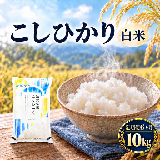 コシヒカリ お米 10kg 精米 定期6回 コシヒカリ