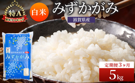 お米 みずかがみ 5kg 精米 定期3回 お米