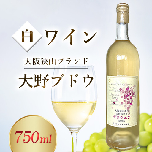 ワイン [大野ぶどう] / 白ワイン 国産ワイン デラウエアワイン 日本ワイン 甘口ワイン フルーティーワイン 軽やかな白ワイン 飲みやすい さわやかな 食事に合う 家飲み ギフト 国産ぶどう デラウェア ボトル 大阪府 No.370