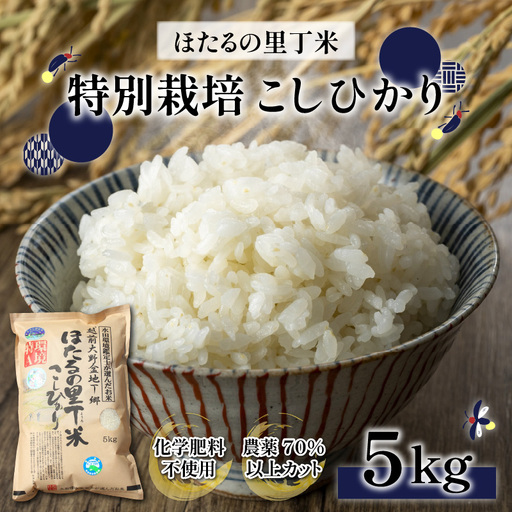 [新米予約受付中]令和8年産 特別栽培こしひかり 5kg[A-002004]