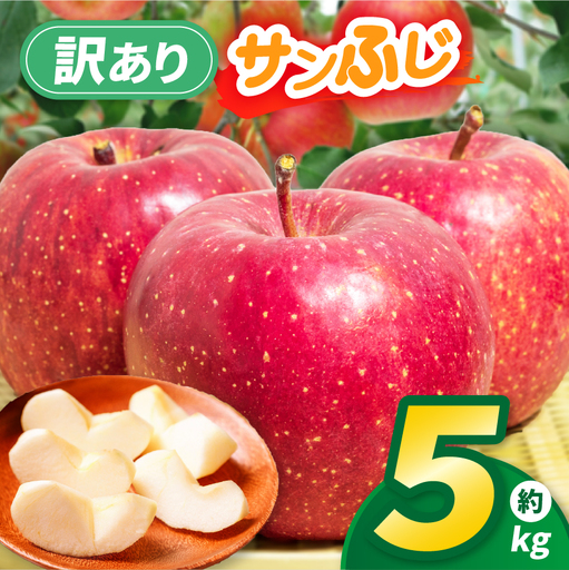 りんご 先行予約 伊那市田原産 リンゴ サンふじ 訳あり 約5kg 2026年11月中旬～発送【011-a3】