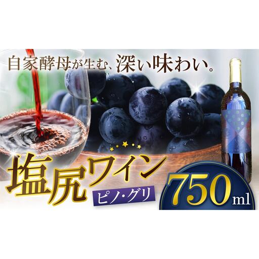 霧訪山シードル 塩尻市産 ピノ・グリ
