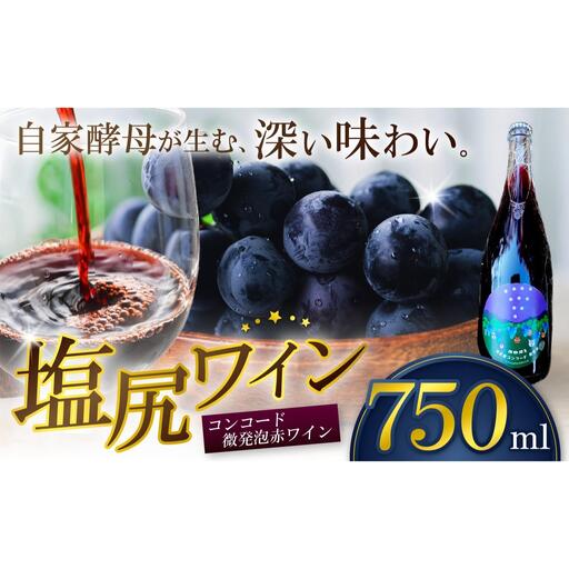 霧訪山シードル 塩尻市産コンコード100% 赤微発泡
