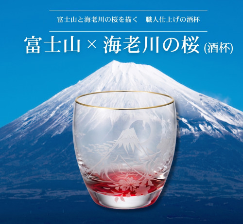 富士山 海老川の桜(赤)