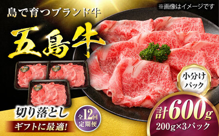 【12回定期便】五島牛 切り落とし 600g（200g×3P）五島市/meat shop FUKU[PHF016]
