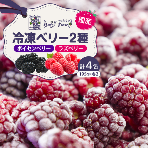 冷凍ベリー2種セット ベリー 冷凍 セット