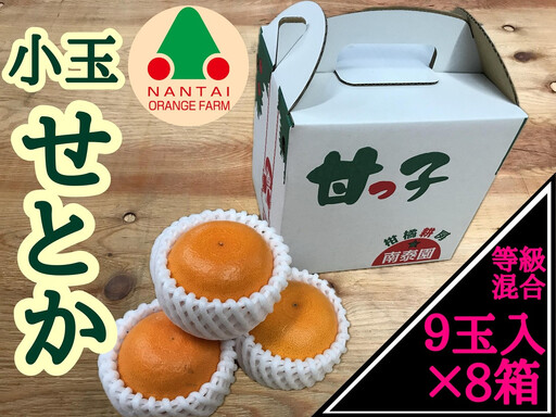 ［8箱セット］甘っ子 小玉 ハウス せとか 9玉入 × 8箱 手さげ箱 南泰園
