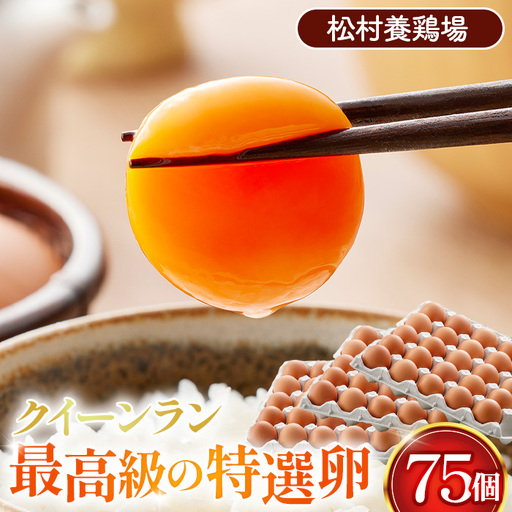 黄身がつかめる新鮮地たまご クイーンラン 赤玉 75個入 No.591