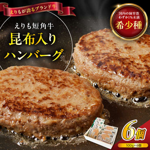 [えりも短角牛]昆布入りハンバーグ 100g×6袋[er007-027]