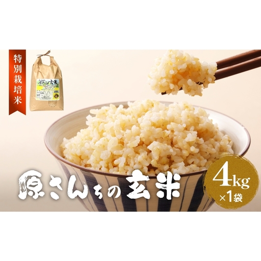 [令和8年産]原さんちのお米 玄米 4kg にこまる 米 お米 こめ コメ ご飯 ニコマル 常温 大分県 大分 玖珠町 玖珠