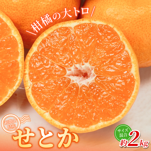みかん  せとか 約2kg 森本農園【BV-mrmt088】