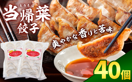 当帰葉餃子 40個入り｜冷凍餃子 餃子 ぎょうざ ギョウザ 冷凍 焼餃子 冷凍餃子 人気 | 奈良県 五條市