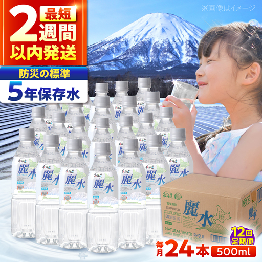 【全12回定期便】≪5年≫ 保存水 500ml×24本 [BPAI010] 水
