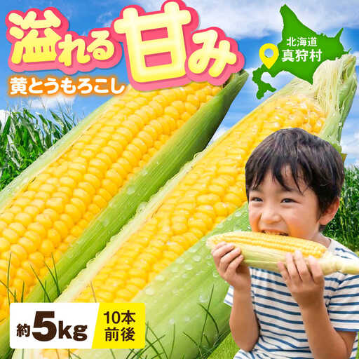 【先行予約】とうもろこし 黄 5kg  [BPAM020] とうもろこし