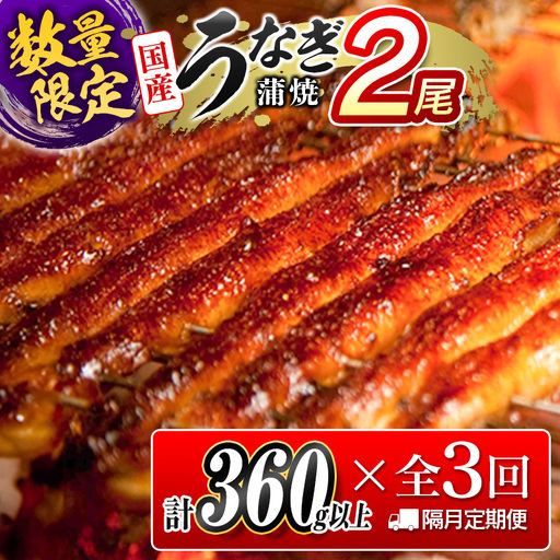 うなぎ蒲焼2尾 隔月定期便 全3回 計1kg 10月12月2月お届け E192-26-101202