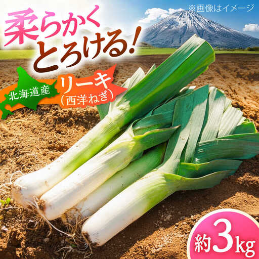 【2026年10月中旬以降順次発送】 リーキ 3kg | 野菜 ネギ ねぎ ポロネギ 西洋ねぎ リーキ | 道の駅 真狩フラワーセンター[BPAM045]
