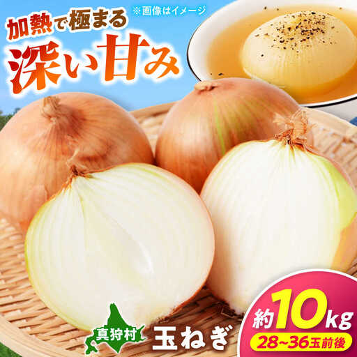 [2026年10月上旬以降順次発送] 玉ねぎ 10kg | 野菜 玉ネギ たまねぎ やさい 北海道 産地直送 | 道の駅 真狩フラワーセンター[BPAM080]
