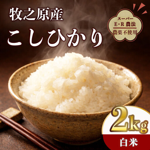 [国産 数量限定]コシヒカリ 2kg 令和7年度産 精米済み 白米 静岡県 牧之原 大澤農園