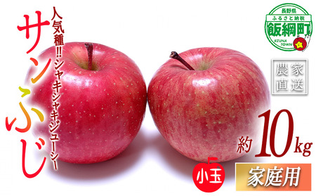 りんご サンふじ (小玉) 家庭用 10kg 一里山農園 沖縄県への配送不可 2026年12月上旬頃から2026年12月中旬頃まで順次発送予定 令和8年度収穫分 エコファーマー 減農薬栽培 信州 果物 フルーツ リンゴ 林檎 長野 予約 農家直送 長野県 飯綱町 [2106]