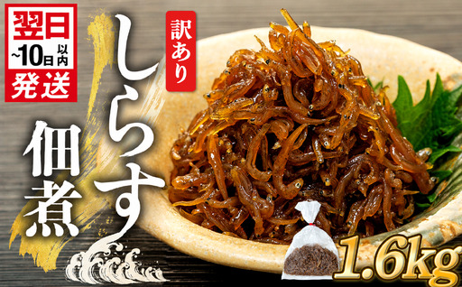 訳あり 釜揚げ しらす 佃煮1.6kg(160g×10袋) 小分け 減塩 無添加 無着色 冷凍 愛知県 南知多町 ご飯 ごはん 丼 料理 国産 カネ成 シラス 人気 おすすめ シラス しらす しらすごはん shirasu sirasu SIRASU 人気シラス