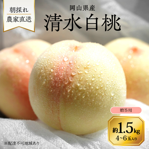 桃 2027年 先行予約 岡山県産 清水白桃 贈答用 2.0kg(5〜8玉) 朝採れ 農家直送