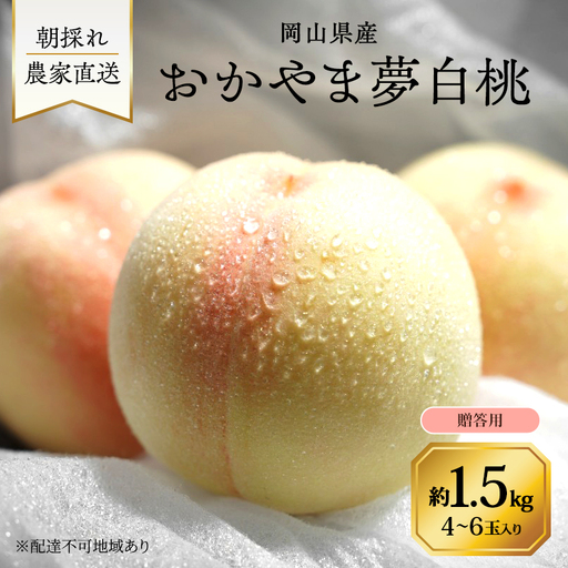 桃 2027年 先行予約 岡山県産 おかやま夢白桃 贈答用 2.0kg(5～8玉)　朝採れ　農家直送