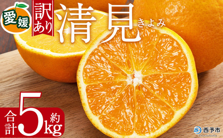＜訳あり 清見 (サイズ混合) 約5kg＞ 愛媛 蜜柑 ミカン みかん 果物 フルーツ 柑橘 国産 きよみ 訳アリ ご家庭用 愛媛県産 西予市産 西宇和 特産品 丸二青果 愛媛県 西予市【常温】『2027年3月中旬から順次出荷予定』MMY0019