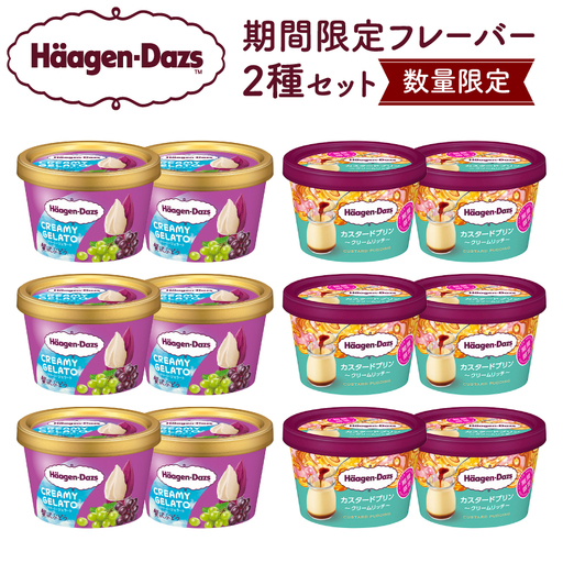 【数量限定】ハーゲンダッツ ミニカップ 12個 (CREAMY GELATO 贅沢ぶどう＆カスタードプリン)アイス ジェラート_H0016-168