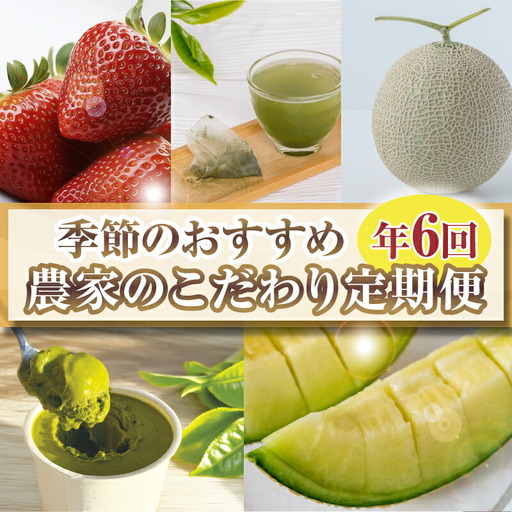 [定期便6回] 季節のおすすめ 農家のこだわり定期便 いちご メロン 新茶 森木農園
