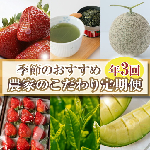[3回定期便] 季節のおすすめ 農家のこだわり定期便 いちご メロン 新茶