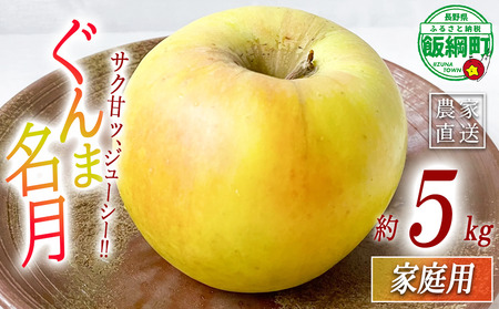 りんご 名月 ぐんま名月 家庭用 5kg ヤマウラ農園 沖縄県への配送不可 2026年11月中旬頃から2026年11月下旬頃まで順次発送予定 令和8年度収穫分 信州 果物 フルーツ リンゴ 林檎 長野 予約 農家直送 長野県 飯綱町 [2098]