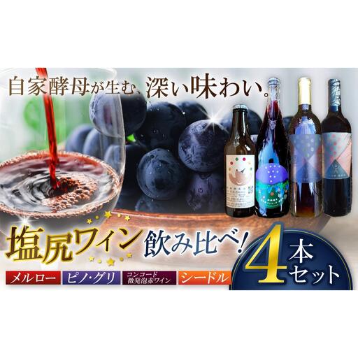 霧訪山シードル 塩尻市産ワイン4本飲み比べセット（メルロー／ピノ・グリ／コンコード／林檎（シードル））