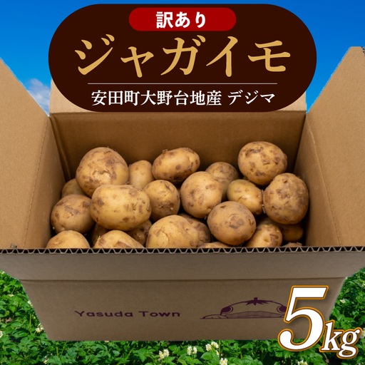 【訳ありじゃがいも】 春デジマ 5kg じゃがいも 安田町 大野台地 YK-0012