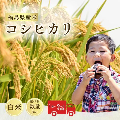 コシヒカリ 白米 5kg 令和8年産 | コシヒカリ サムランド