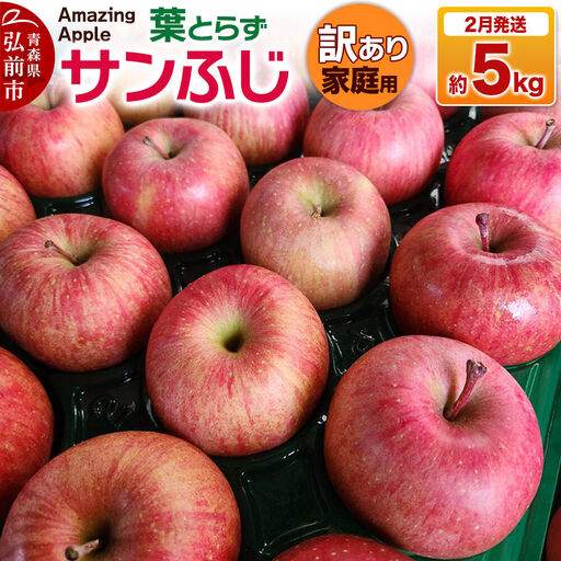 【27年2月発送】りんご 葉とらずサンふじ【訳あり】家庭用 約5kg