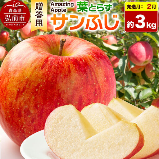 [27年2月発送]りんご 葉とらずサンふじ[贈答用]約3kg 先行受付