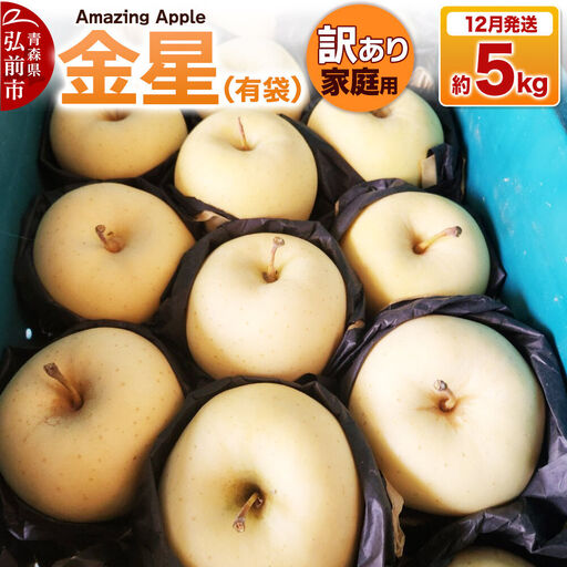 【26年12月発送】りんご 金星（有袋）【訳あり】家庭用 約5kg