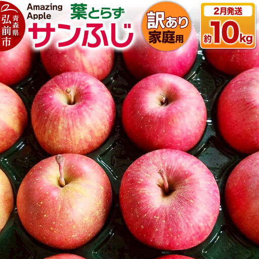 【27年2月発送】りんご 葉とらずサンふじ【訳あり】家庭用 約10kg