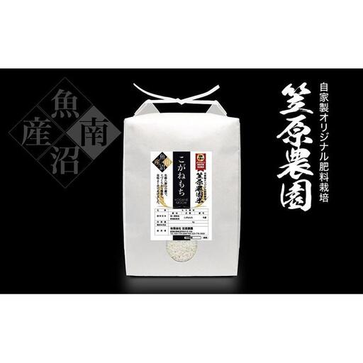 【令和7年】南魚沼産 笠原農園米 こがねもち（もち米） 5kg   | もち米