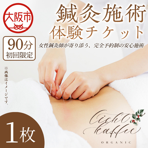 ふるさと納税 鍼灸施術体験チケット（90分）×1枚_OS369-0001-01