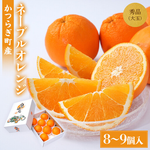 [先行予約] 和歌山県産ネーブル 約4kg 大玉(8個〜9個)秀品 こだわり農家厳選 [KG35]
