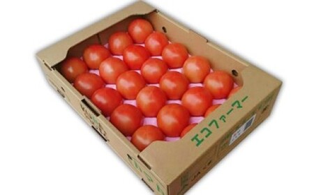 熊本県JAくま産 球磨のトマト 4kg [先行受付][2027年1月中旬〜3月中旬迄発送予定]
