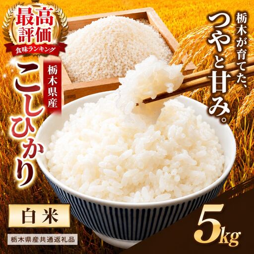 【栃木県共通返礼品】栃木県産コシヒカリ 白米 5kg