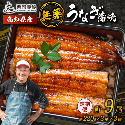 【 うなぎの蒲焼き 】 うなぎの蒲焼 定期便 計9尾 ( 220g × 3尾 × 3回 )