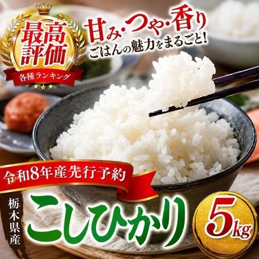 【2026年先行予約】ごはんが主役！矢板市産こしひかり 白米 5kg お米 栃木県 矢板市
